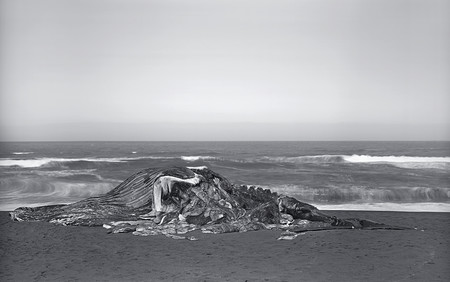 Richard Learoyd, el fotógrafo que ha resucitado la cámara oscura, en la Fundación Mapfre de Madrid