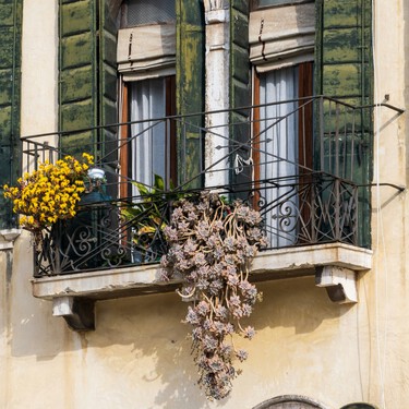 Los maceteros de Aldi que convierten balcones aburridos en pequeños huertos verticales (sin obras y por menos de 10 euros) 