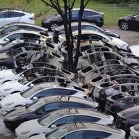 Activistas climáticos contra el "capitalismo verde" prenden fuego a 15 Tesla en un concesionario de Alemania