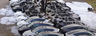 Activistas climáticos contra el "capitalismo verde" prenden fuego a 15 Tesla en un concesionario de Alemania