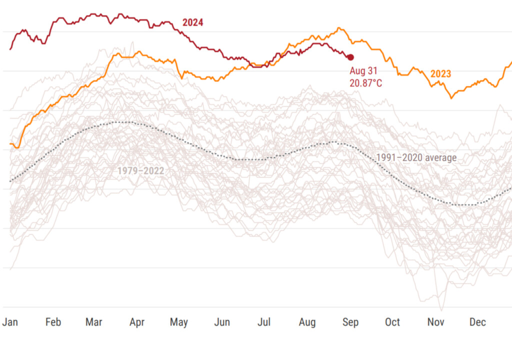 Solo un otoño excepcionalmente frío puede evitar que 2024 se convierta en el año más cálido desde que tenemos registros