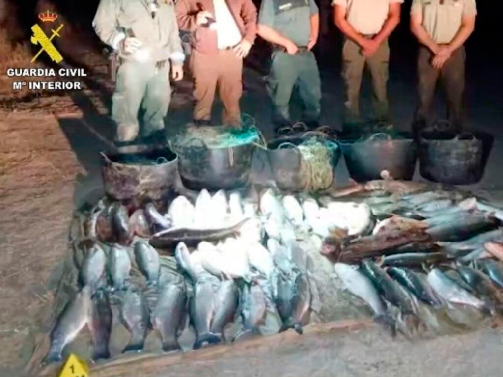 Furtivos en Doñana: el Seprona investiga a cuatro vecinos de Huelva y Sevilla por capturar para su venta más de 500 kilos de pescado en un espacio protegido