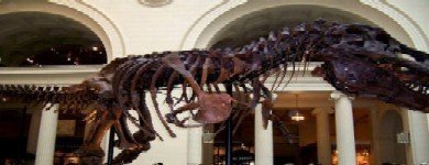 Ese dinosaurio es mio...