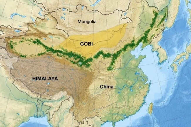 China Ha Plantado 66 000 Millones De Arboles Para Construir Una Gran Muralla Verde Medio Siglo Despues Las Imagenes De Satelite Revelan Algo Insolito