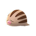 Swinub