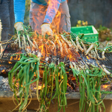 No hace falta ir hasta Valls: estas son las mejores zonas para disfrutar de una calçotada auténtica a menos de una hora de Barcelona