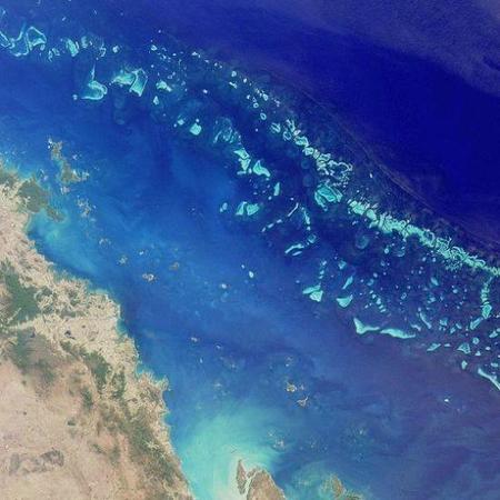 Diez poderosos motivos para conocer la Gran Barrera de Coral (seas submarinista o no)