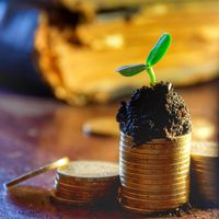 ¿Quebró aquel empresario que decidió hace cinco años subir el salario de todos sus empleados a 70.000$?