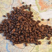 Toma café como nunca lo has hecho en la tierra donde nació por primera vez