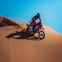 Tosha Schareina se hace con la primera victoria española en el inicio del Dakar; Joan Barreda por los suelos 