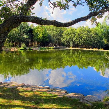 En la ruta más refrescante de Madrid puedes pasear junto a un río, darte un chapuzón en una piscina natural y ver una cascada 