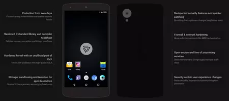 カッパーヘッド オス