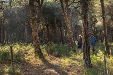 Bosque Senderismo Invierno Playa Naturaleza Cataluna