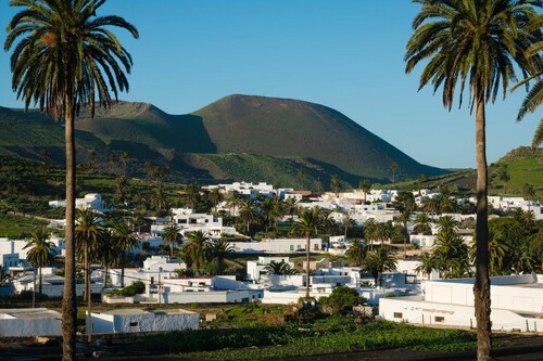 Haria Lanzarote Palmeras Min