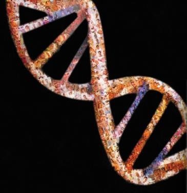 Algunos ejemplos de epigenética: el ambiente modifica nuestro ADN
