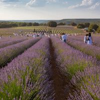 "Venid entre semana, por favor": Brihuega ha entrado en modo desesperación absoluta por culpa del turismo