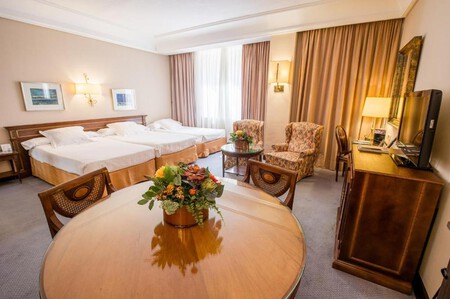 Hotel Miguel Angel liquidación muebles