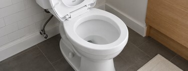 Echar vinagre en el inodoro una vez a la semana: para qué sirve, por qué es bueno y cuándo no conviene utilizarlo