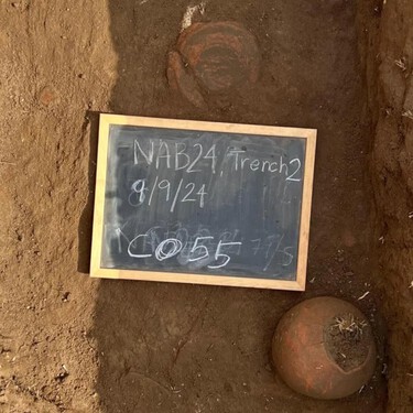 Acabamos de encontrar el guiso más antiguo de la historia en una ciudad perdida de Egipto: un puchero de pescado de 2.500 años 