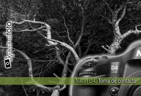 Nikon D4: Toma de contacto
