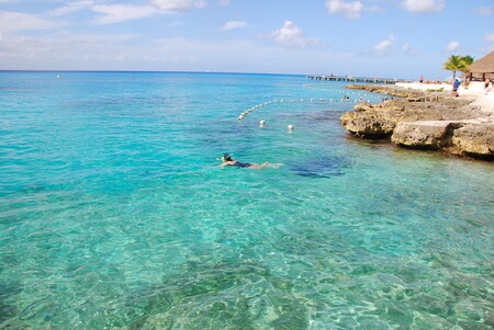 Snorkel Cozumel México Riviera Maya