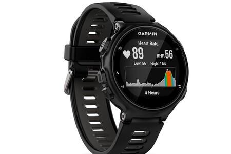 Garmin