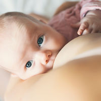 Así cambia la composición de la leche materna cuando el bebé nace prematuro: ¡asombroso!