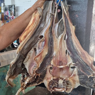 Esta región de Perú es famosa por sus chiringuitos de ceviche, pero el gran protagonista no es el pescado crudo, es el legendario pez guitarra