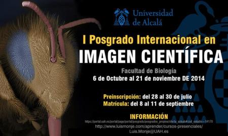 La Universidad de Alcalá prepara el I Posgrado Internacional en Imagen Científica