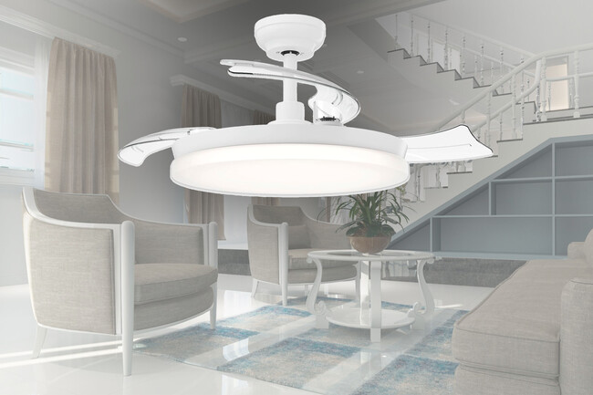 Philips Solr