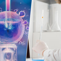 Ya no basta con congelar óvulos y esperar: la IA entra en las clínicas para decirte su potencial real 