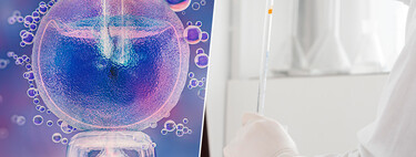 It is no longer enough to freeze eggs and wait: AI enters clinics to tell you their real potential 