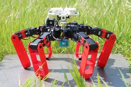 Este robot es capaz de orientarse sin hacer uso de un GPS