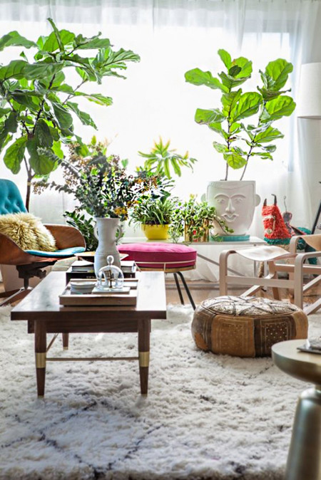 17 ideas para decorar tu sala de estar con plantas en esta primavera