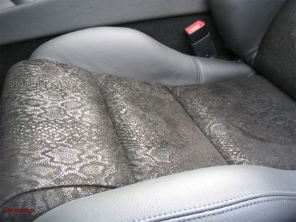 2007 Dodge Snakeskin Viper