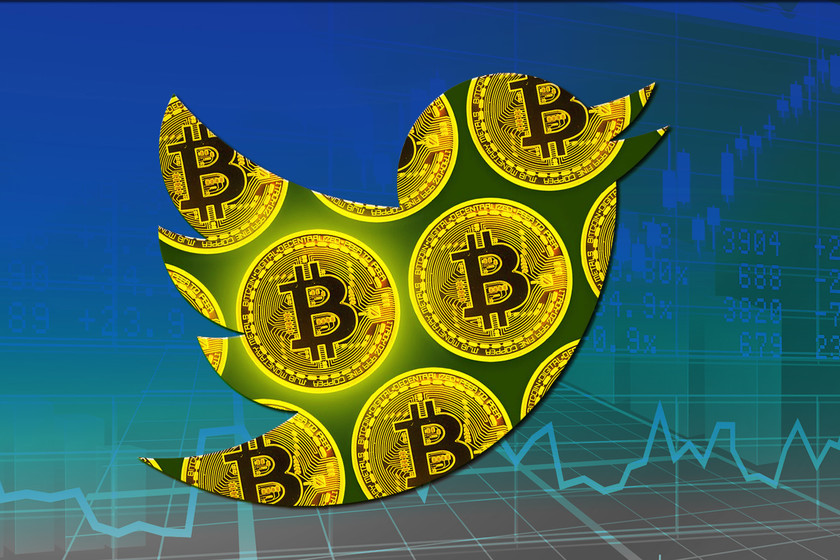 75 cuentas de Twitter para estar enterado del mundo de las criptomonedas