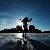 El gobierno ya piensa en que trabajemos más allá de los 70 años mientras cobramos pensión de jubilación. Una más baja, claro 