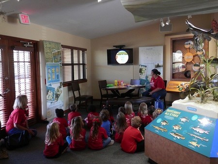 El papel de la familia y el colegio en la escolarización segura de los niños alérgicos