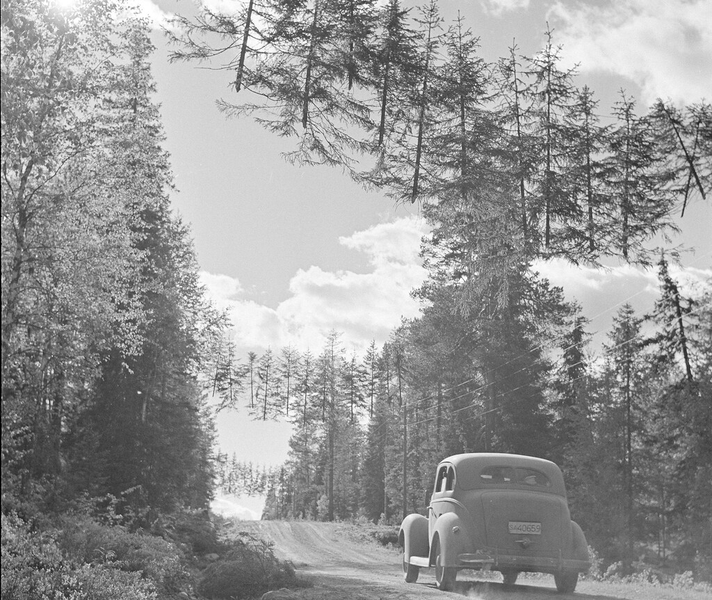 Para Finlandia, proteger sus carreteras en la segunda Guerra Mundial era esencial, así que se inventó los árboles voladores