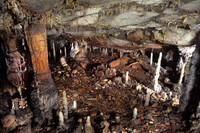 Una cueva de Cantabria estuvo bloqueada durante 16.800 años. Dentro hay una vivienda de la Edad de Piedra con más de 4.600 objetos 