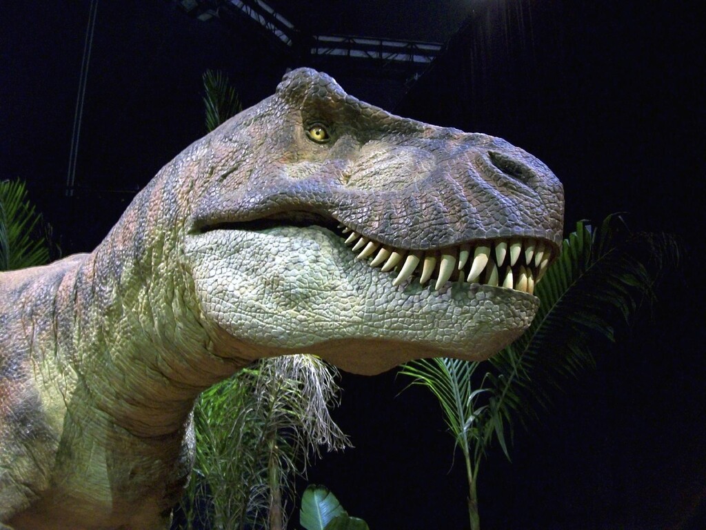 El