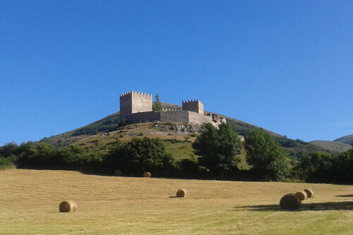 Castillo De Argueso