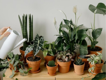 Copia De Plantilla 1200x900 57