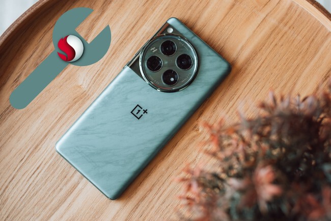 Oneplus 13 Chip