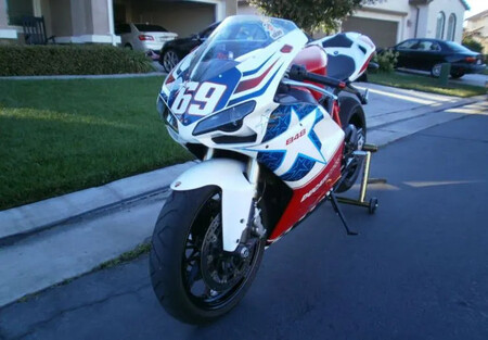Nicky 6 2023