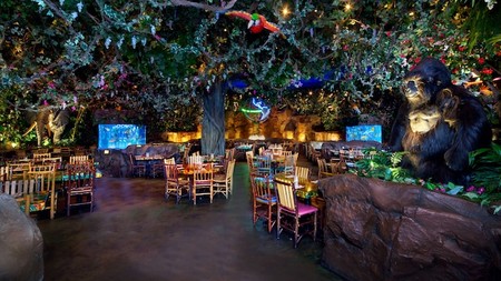 Rainforest Cafe Animal Kingdom Gallery01