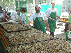 Lleida: Caracoles a toneladas