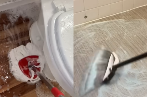 Reprodução/TikTok/Instagram