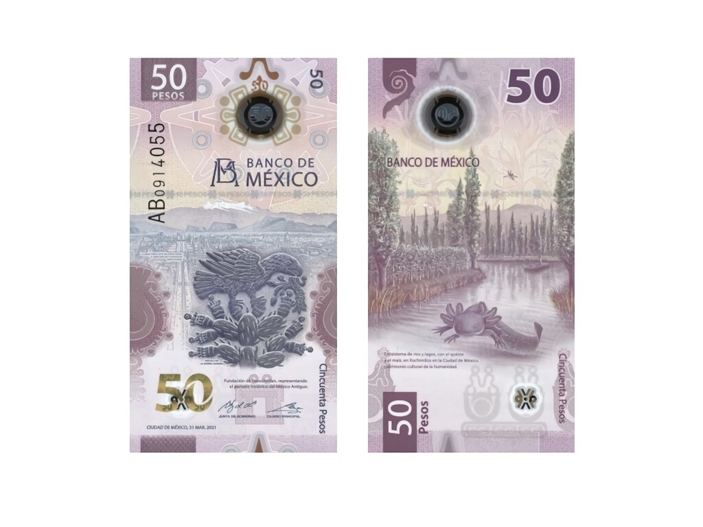 El billete de 50 pesos con el ajolote es el más bonito del mundo, según IBNS: México se lleva el título por segundo año consecutivo 