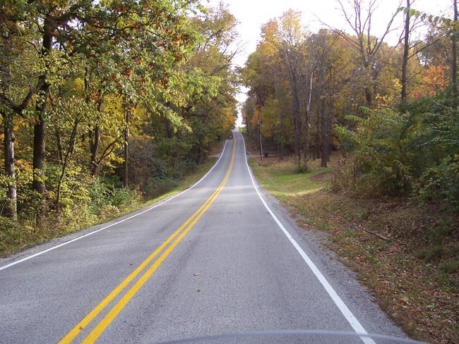 Carretera en el bosque